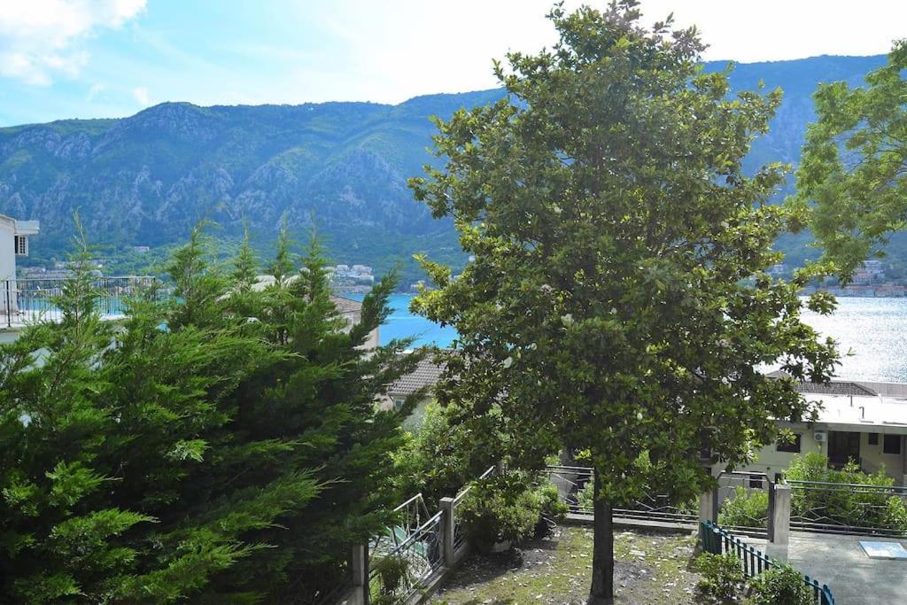 Urban Escape For Two In Kotor Apartment Exterior foto
